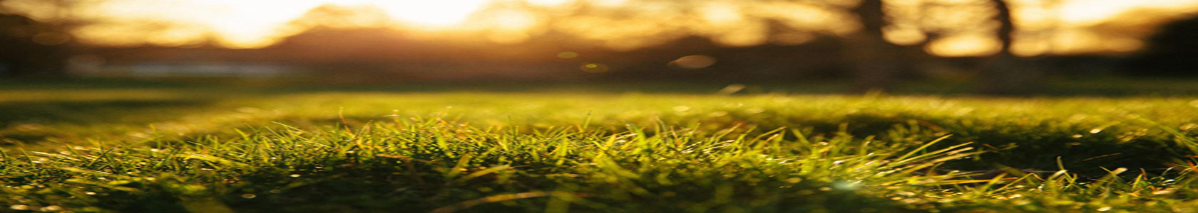 粉末顆粒活性炭